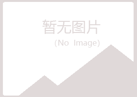 日照岚山梦柏能源有限公司